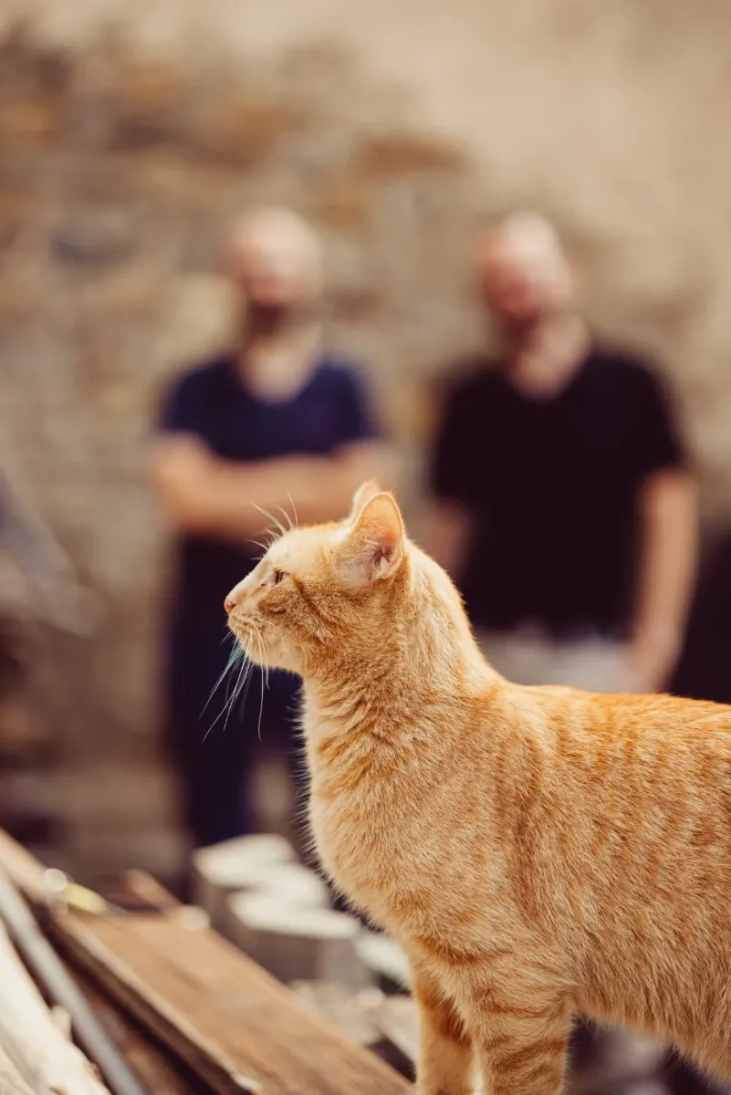 unser Überraschungsgast Simba