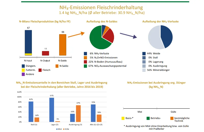 Gestaltung und Entwicklung Dashboards und Reporting-Tools